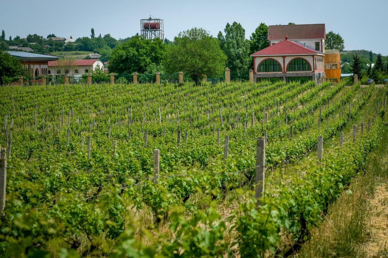 Chabiant Guesthouse Chateau Monolit Ikinci Yeniyol Εξωτερικό φωτογραφία